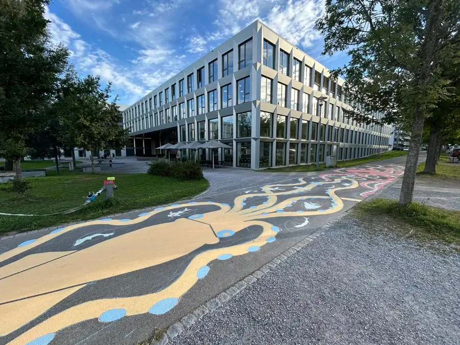 Die Stadt Uster testet, ob die farbliche Gestaltung für mehr Aufmerksamkeit an der Querungsstelle sorgt. Der Quellenweg in Uster bunt bemalt mit Lehmfarben